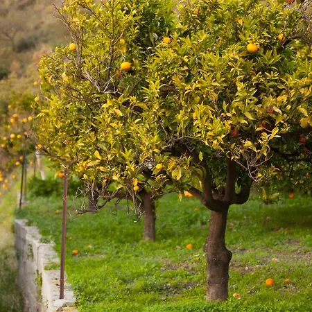 Сasa de vacaciones La Herradura La Herradura (Granada)